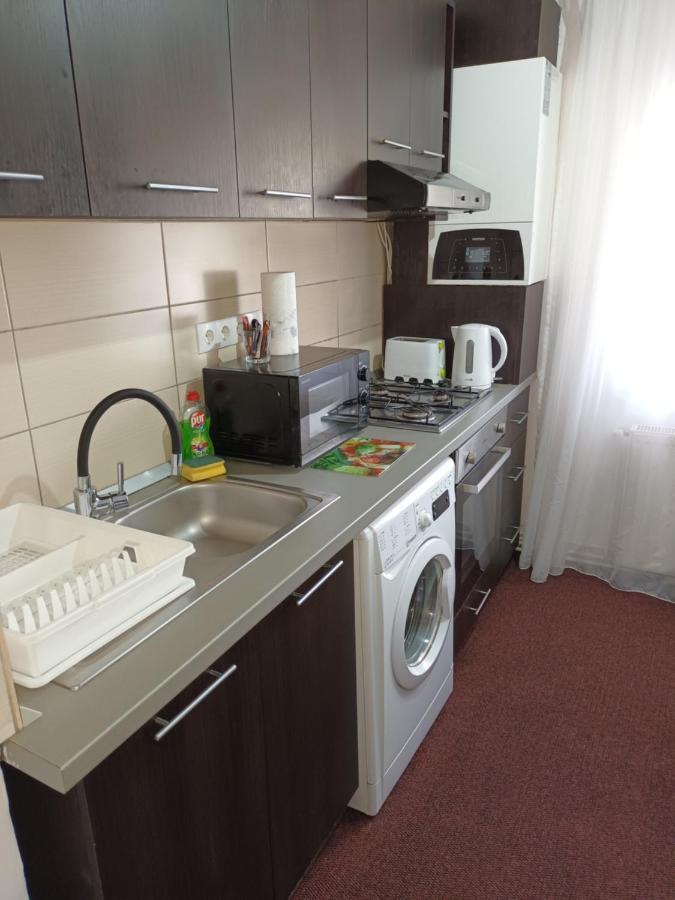 Creative Apartment Baia Mare Exteriör bild